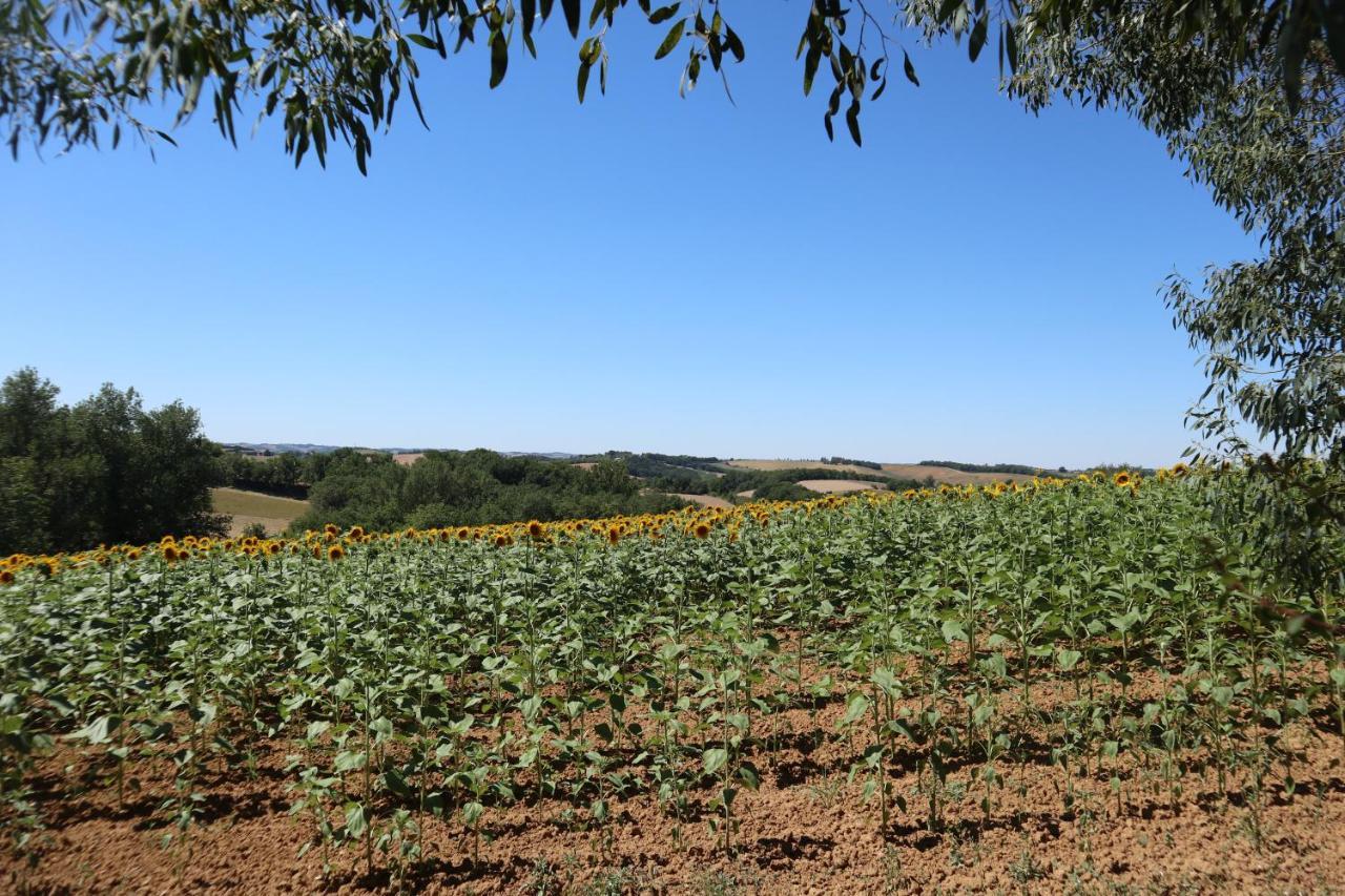 Le Clos Mirelie Gaujac  Exteriér fotografie